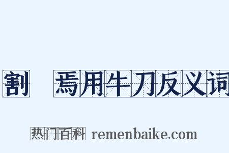 割雞焉用牛刀反义词是什么意思的图片